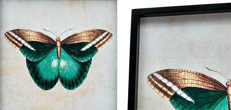 Комплект из 4-х постеров Большие Бабочки - фото №1