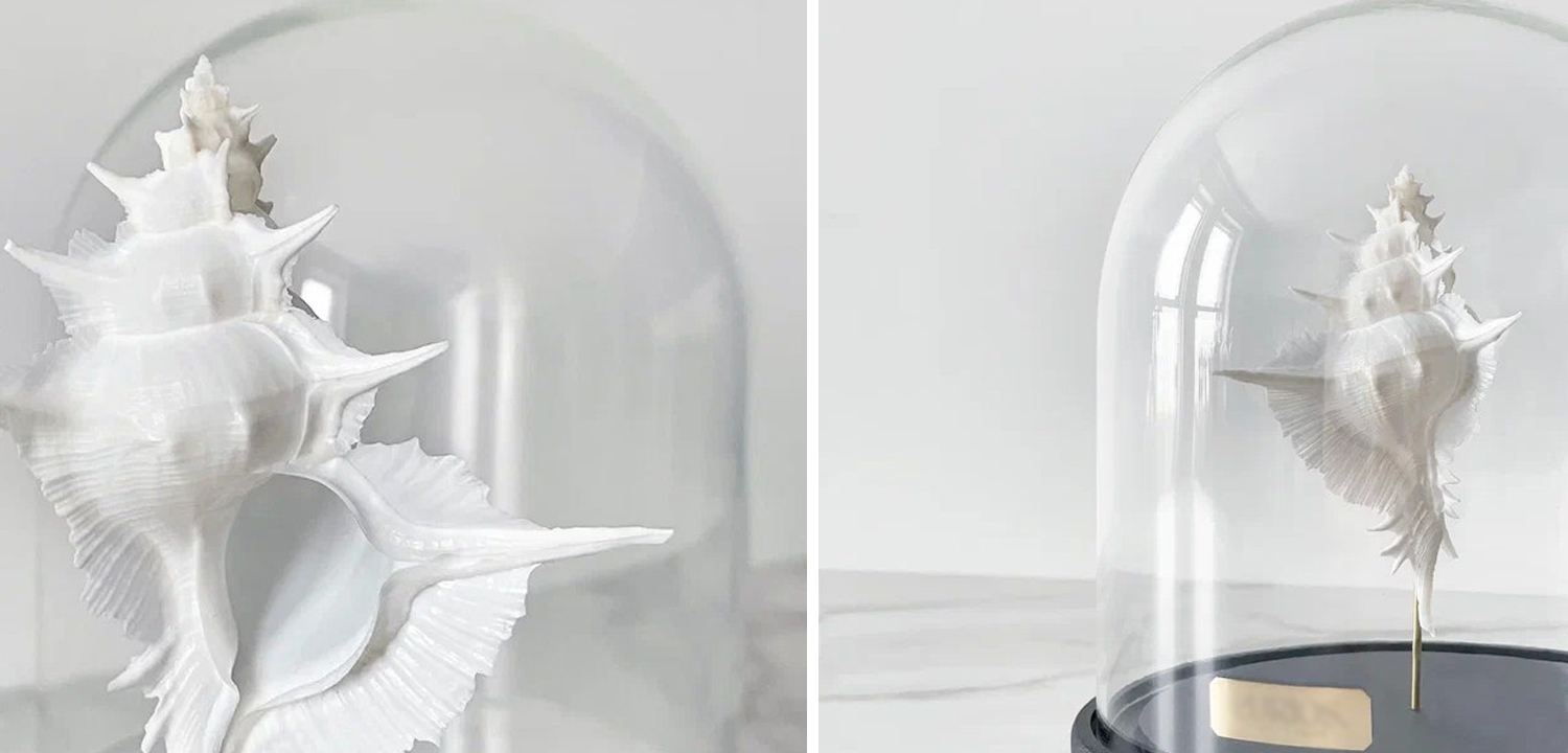 Статуэтка Murex Alabaster Glass Cloche - фото