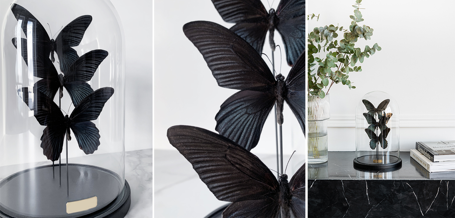 Статуэтка 3 Butterflies Papilio Memnon Glass Cloche - фото