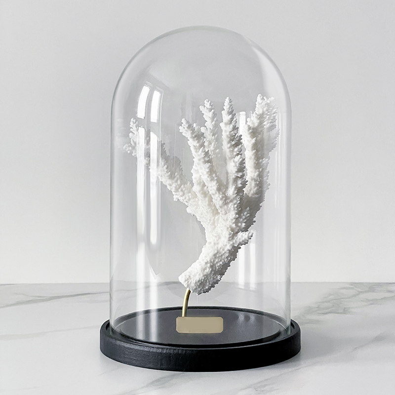 Статуэтка Natural Coral Branch Glass Cloche  в Екатеринбурге | Loft Concept 