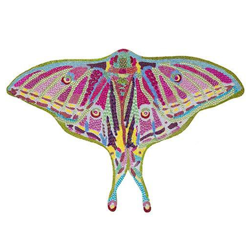 Картина “Spanish Moon Moth Butterfly Cut Out” Мульти в Екатеринбурге | Loft Concept 