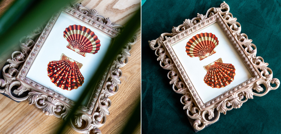 Постер Red Scallop Poster - Loft-Concept в Екатеринбурге