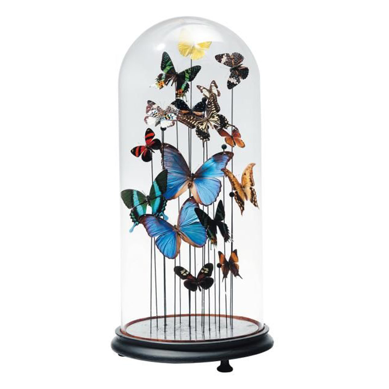 Статуэтка 15 Butterflies Glass Cloche  в Екатеринбурге | Loft Concept 