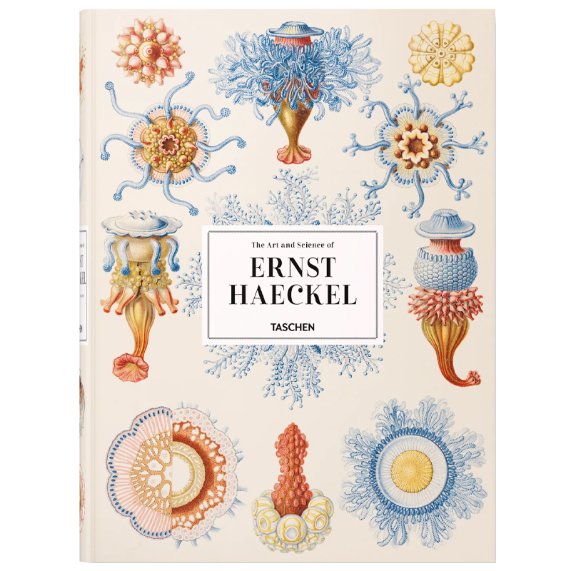 The Art and Science of Ernst Haeckel XXL  в Екатеринбурге | Loft Concept 