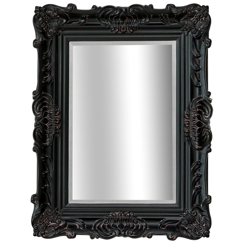 Зеркало Aryan Provence Mirror Black Черный Коричневый в Екатеринбурге | Loft Concept 