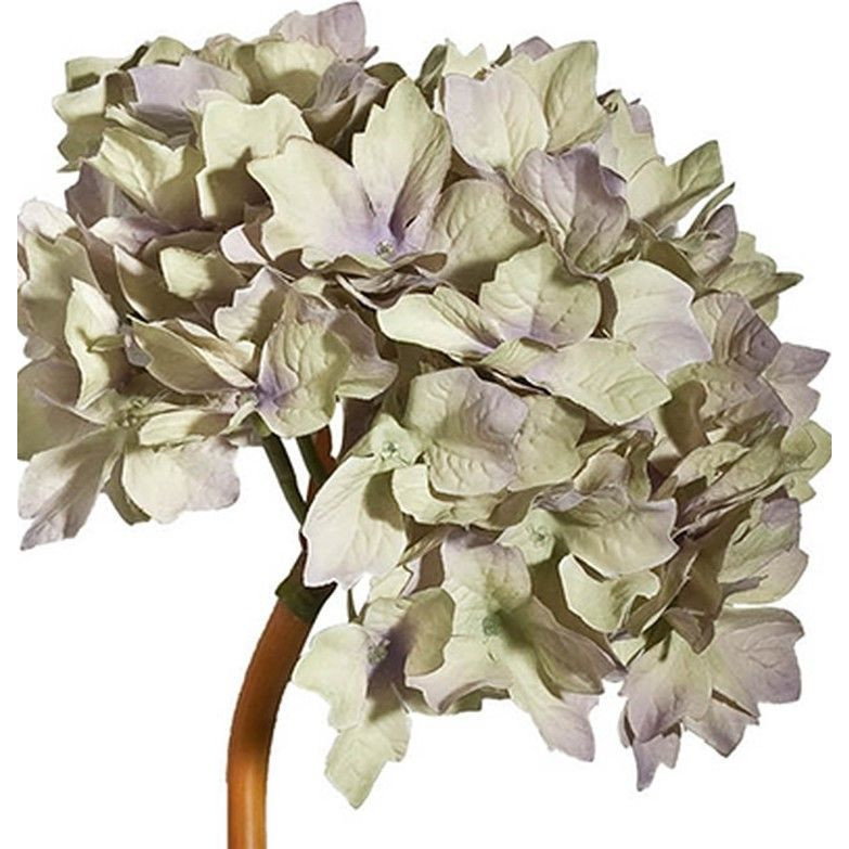 Декоративный искусственное растение Beige hydrangea Черный Бежевый Коричневый в Екатеринбурге | Loft Concept 