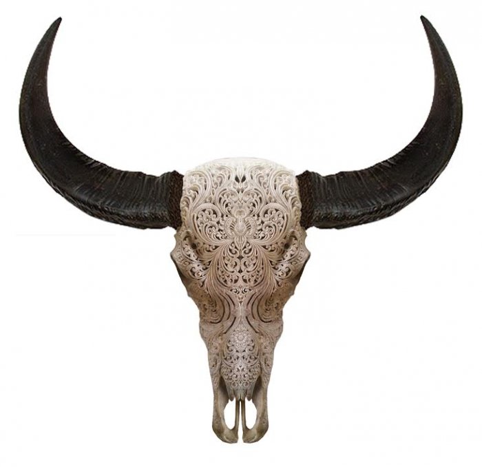 Череп буйвола с резьбой Buffalo Skull Tribal Carving Белый в Екатеринбурге | Loft Concept 