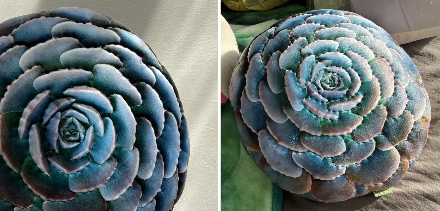 Декоративная подушка Botanical Cushion Succulentus - фото