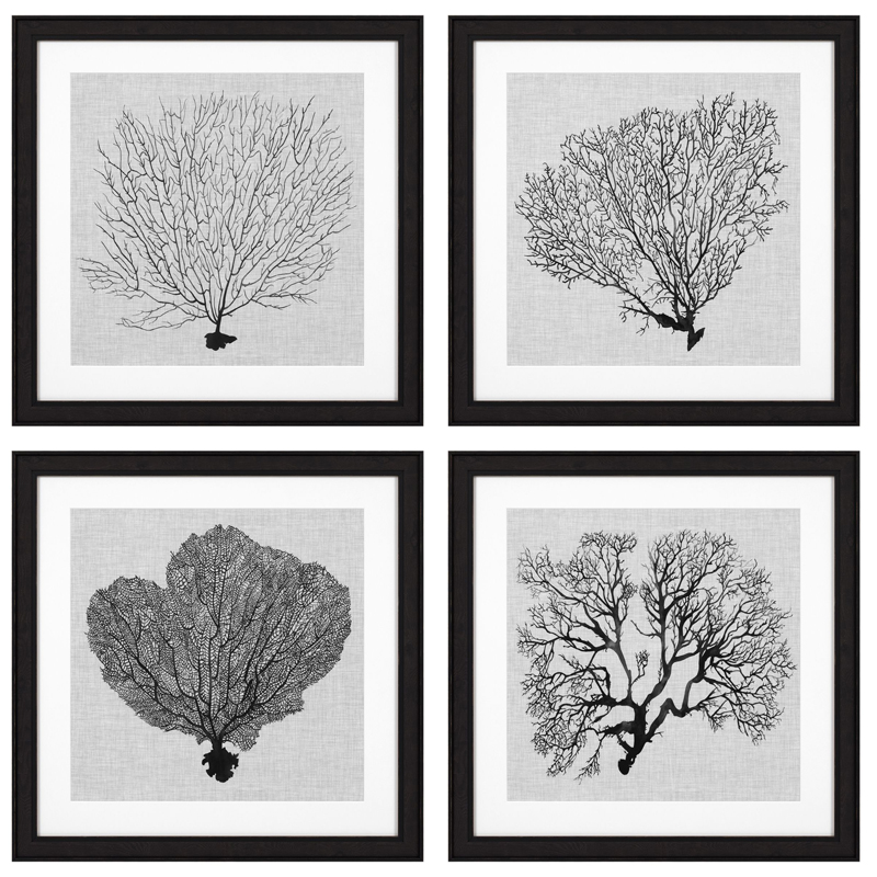 Комплект постеров Eichholtz Prints Shadow Sea Fans set of 4 Черный Черно-белый в Екатеринбурге | Loft Concept 