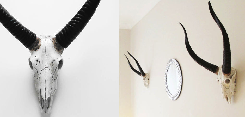 Череп антилопы с черными рогами - Loft-Concept в Екатеринбурге