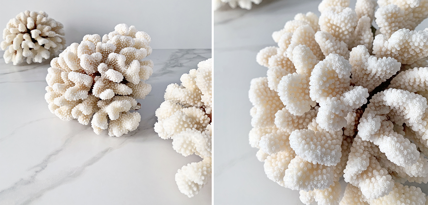 Статуэтка Brownstem Coral - фото