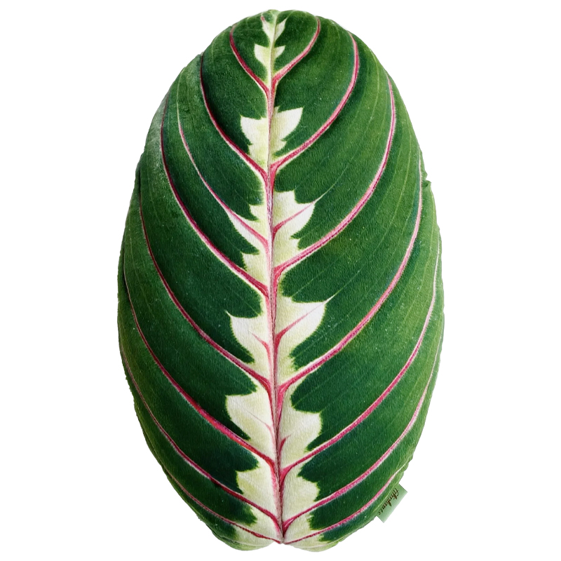 Декоративная подушка Botanical Cushion Maranta Trikolor Зеленый Бургундский красный в Екатеринбурге | Loft Concept 