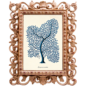 Постер Blue Coral Poster