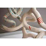 Скульптура «Papañca» варинант исполнения - 3 | Loft Concept в Екатеринбурге