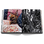 Книга подарочная Смелый бразильский стиль Сиг Бергамина Assouline Maximalism by Sig Bergamin варинант исполнения - 9 | Loft Concept в Екатеринбурге