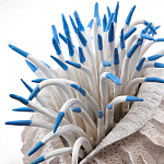 Статуэтка тропический фрукт Tropical Fruit White Blue варинант исполнения - 1 | Loft Concept в Екатеринбурге