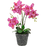 Декоративный искусственное растение Pink orchid варинант исполнения - 1 | Loft Concept в Екатеринбурге