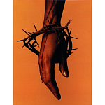 Подарочная книга величайший фотограф Альберт Уотсон The Vienna album Albert Watson варинант исполнения - 4 | Loft Concept в Екатеринбурге