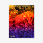 Редкое подарочное издание Yayoi Kusama: 1945 to Now варинант исполнения - 3 | Loft Concept в Екатеринбурге