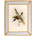 Постер с изображением птиц и цветов в зеркальной раме Blooming Birds Poster варинант исполнения - 4 | Loft Concept в Екатеринбурге