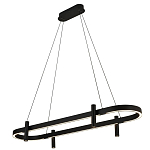 Люстра подвесная овальная черная  Black Light Fixtures варинант исполнения - 1 | Loft Concept в Екатеринбурге