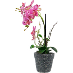 Декоративный искусственное растение Pink orchid варинант исполнения - 4 | Loft Concept в Екатеринбурге