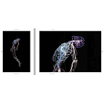 Монография художника Tavares Strachan - There is Light Somewhere варинант исполнения - 6 | Loft Concept в Екатеринбурге