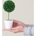 Декоративный искусственное растение Boxwood One варинант исполнения - 6 | Loft Concept в Екатеринбурге