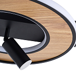 Потолочный светильник круглый GAVIN WOOD варинант исполнения - 2 | Loft Concept в Екатеринбурге