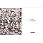 Книга Maison Lesage: Haute Couture Embroidery Mauries Patrick варинант исполнения - 11 | Loft Concept в Екатеринбурге