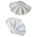 Фигурка из фарфора в виде одной створки ракушки Marine Tridacna варинант исполнения - 3 | Loft Concept в Екатеринбурге