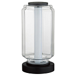 Настольная лампа с прозрачным плафоном Jarrty варинант исполнения - 1 | Loft Concept в Екатеринбурге