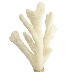 Статуэтка Stand Coral варинант исполнения - 2 | Loft Concept в Екатеринбурге