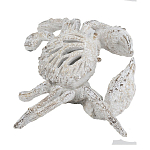 Статуэтка краб с детализированной текстурой в белом цвете Marine Accessories варинант исполнения - 4 | Loft Concept в Екатеринбурге