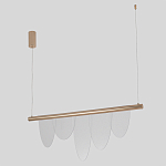 Люстра подвесная с пятью прозрачными элементами в форме лепестков и золотистым металлическим основанием DALI Tonin Casa варинант исполнения - 2 | Loft Concept в Екатеринбурге