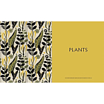 Книга The V&A Sourcebook of Pattern and Ornament варинант исполнения - 4 | Loft Concept в Екатеринбурге