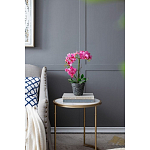 Декоративный искусственное растение Pink orchid варинант исполнения - 8 | Loft Concept в Екатеринбурге