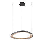 Люстра светодиодная  Iris варинант исполнения - 2 | Loft Concept в Екатеринбурге