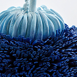 Статуэтка Синий тропический фрукт Tropical Fruit Pandora 1 варинант исполнения - 4 | Loft Concept в Екатеринбурге