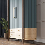 Шкаф «Гавайи» варинант исполнения - 2 | Loft Concept в Екатеринбурге