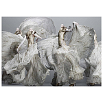 Alexander McQueen: Savage Beauty варинант исполнения - 2 | Loft Concept в Екатеринбурге