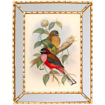 Постер с изображением птиц и цветов в зеркальной раме Blooming Birds Poster варинант исполнения - 7 | Loft Concept в Екатеринбурге