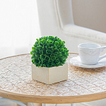 Декоративный искусственное растение Square boxwood варинант исполнения - 6 | Loft Concept в Екатеринбурге