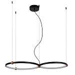 Люстра подвесная светодиодная черный металл Ring Horizontal варинант исполнения - 9 | Loft Concept в Екатеринбурге