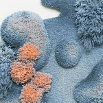 Тканый вручную Большой абстрактный гобелен Frost Forest варинант исполнения - 1 | Loft Concept в Екатеринбурге