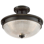 Потолочный светильник со стеклянным плафоном в виде купола Quoizel варинант исполнения - 8 | Loft Concept в Екатеринбурге