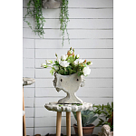 Кашпо Curly baby варинант исполнения - 10 | Loft Concept в Екатеринбурге