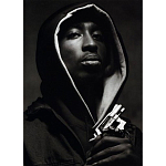 Подарочная книга величайший фотограф Альберт Уотсон The Vienna album Albert Watson варинант исполнения - 2 | Loft Concept в Екатеринбурге