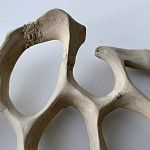 Блюдо «Бежевый коралл» варинант исполнения - 3 | Loft Concept в Екатеринбурге