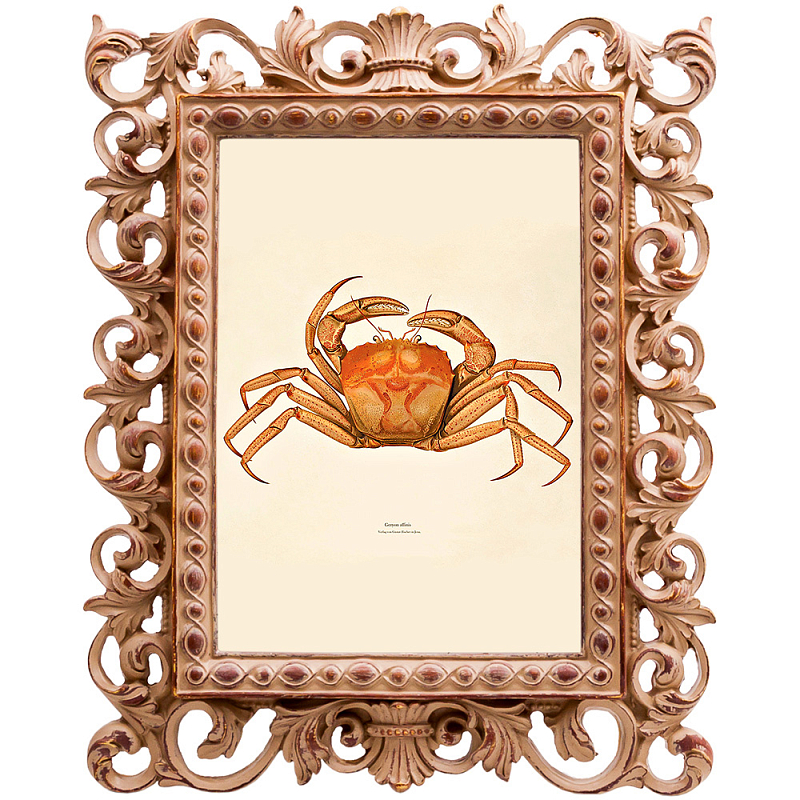 Постер Ocher Crab Poster Бежевый Оранжевый в Екатеринбурге | Loft Concept 